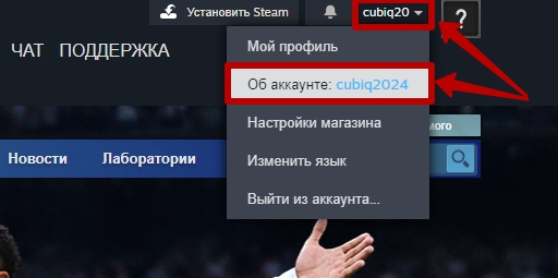 Как найти логин Steam